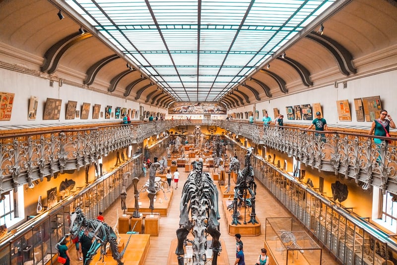 Exploring Dinosaurs